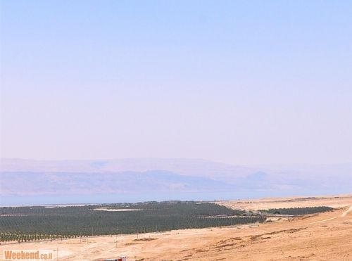 מלכת המדבר